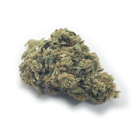 BubbleGum Marijuana Bud on white background