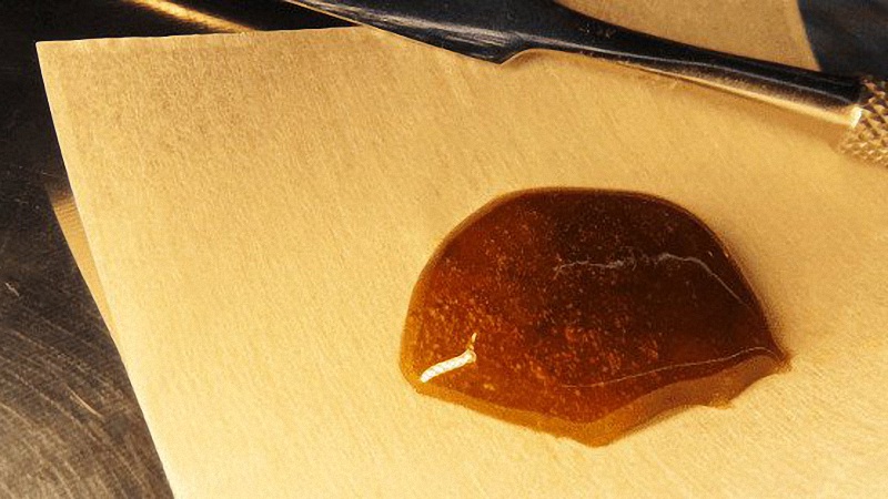 Rosin Hemp Plant on Parchment Paper with Dab Tool
