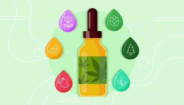 Illustration of a CBD oil bottle with different droplet icons of terpenes around