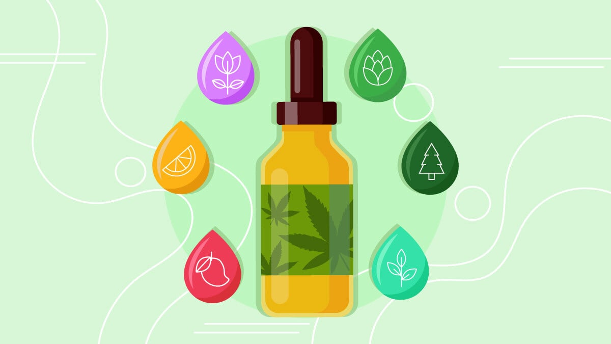 Illustration of a CBD oil bottle with different droplet icons of terpenes around